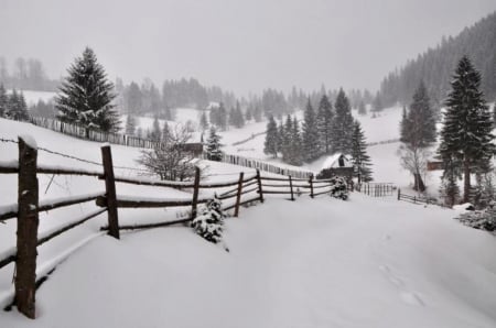 Winter - iarna, chiar, ca e, magica