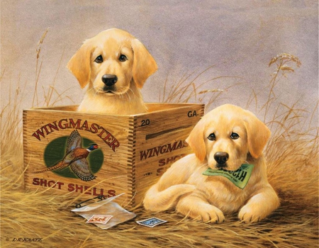 Cute Dogs - retriever, cubs, box, artwork