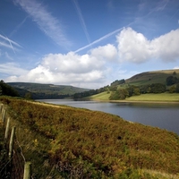 RIVER OF DERWENT VALLEY ,TASMANIA