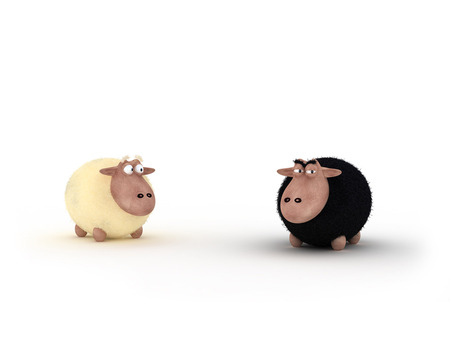 The Two Sheeps Friends - black, white, sheep, friends, sheeps