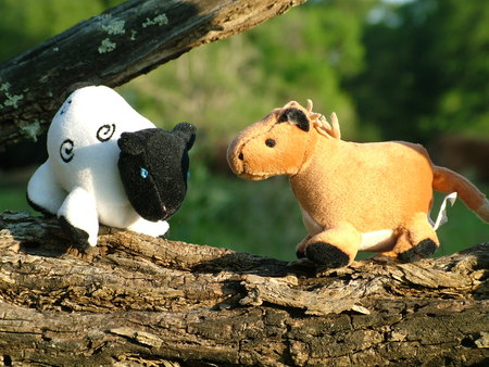 Cow and horse - tree branch, stuffed cow, horse