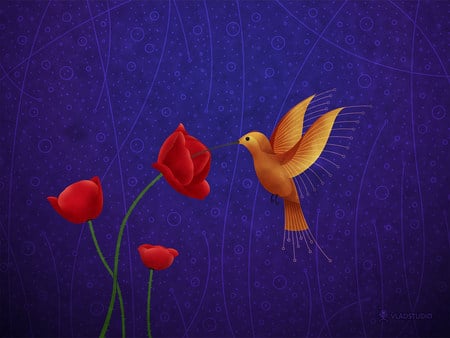 Hummingbird - animals, bird, nature, painting, art, abstract, hummingbird, red, blue, orange, flowers, poppies, flower, birds