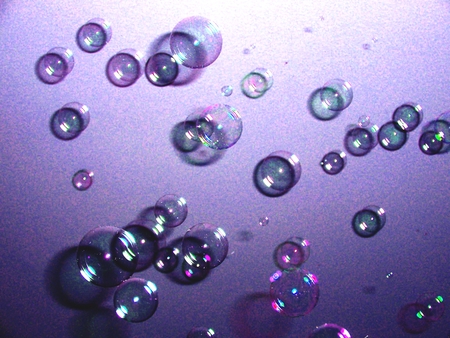 Purple Bubbles - abstract, bubbles