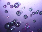 Purple Bubbles