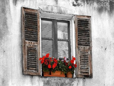 	Corte Window with Geraniums Corsica - corsica, corte, window with geraniums