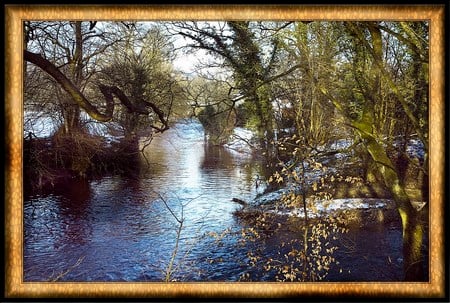 Forest framed - forests, framed