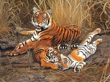 Tiger family - painting, tigers