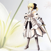 saber lily