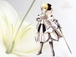 saber lily