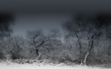 Reign of insomnia - trees, landscape, dull, art, black grey shades, dark