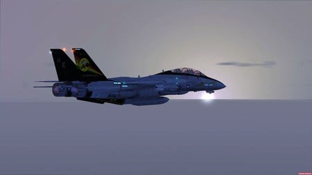 Tomcat FSX Sunset - fighter, jet, wing, air, military, firepower, plane, aircraft, force, missile, bomber