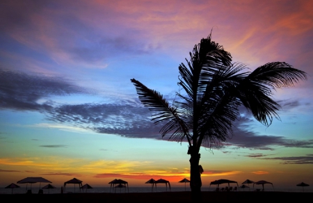 Sunset - Sunset, sky, palmtree, pastel