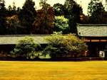 Todai-ji