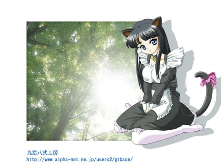 beautiful cat girl maid - long hair, nice, cute, cat ears