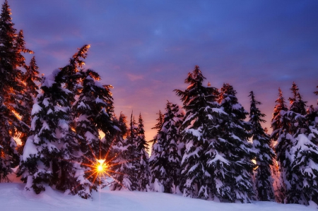 Sunrise dreams - nice, dreams, slope, sky, trees, sunset, shine, pretty, clouds, rays, mountain, light, winter, lovely, nature, glow, beautiful, colors, sunrise