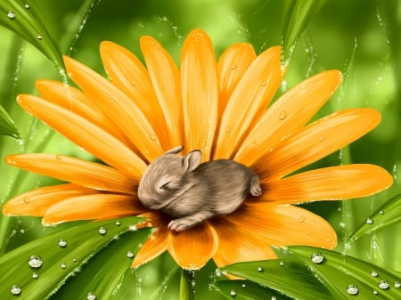 A beautiful flower - nice, bunny, painting, art, yellow, pretty, petals, grass, garden, drops, little, droplets, wet, lovely, nature, beautiful, leaves, flowers