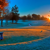 Frosty morning