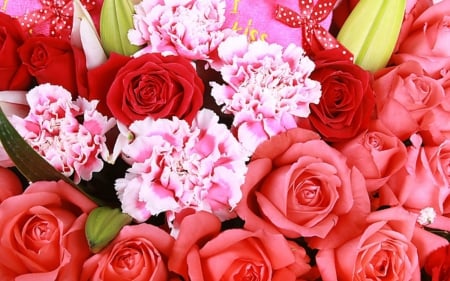 Beautiful flowers - flowers, blooms, roses, petals