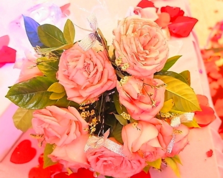 Beautiful rose - flowers, blooms, roses, petals