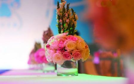 Beautiful flowers - flowers, blooms, glass, petals