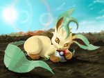 Leafeon chewing Pokeball