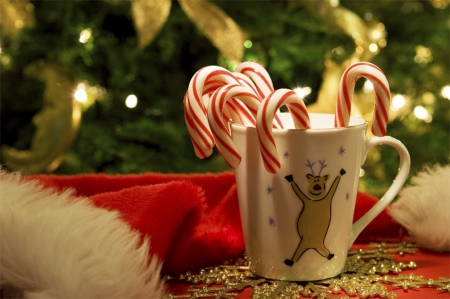 Happy Christmas - candy cane, christmas, lights, photography, cute, holidays, sweet, cup