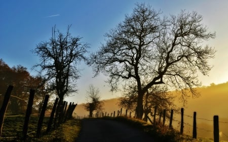 *** Autumn evening *** - sky, evening, dark, nature, autumn