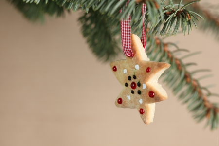 Christmas Cookie - xmas, merry christmas, magic christmas, christmas, christmas cookie