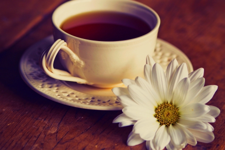 Tea Time - nature, tea, tea time, flowers, daisy, cup