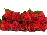 *** Red roses ***