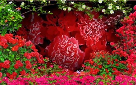 Beautiful flowers - flowers, blooms, red, petals