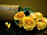 Yellow rose