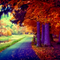 November Wallpapers - Page 2 - Desktop Nexus