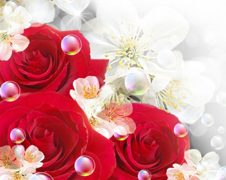 Red rose - flowers, rose, petals, red