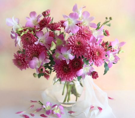 Beautiful pink flowers for Alexandra (Alexandra66 ) - vase, delicate, different, beautiful, joyful, beauty, colors, lovely, pink, still life, flowers, white, nature, soft, nuances, pleasant