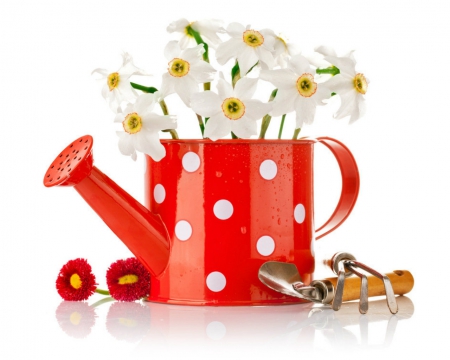 Spring time - watering can, polka dots, flowers, petals