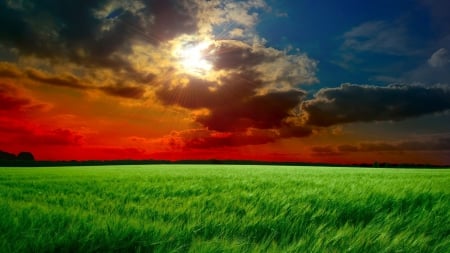 gorgeous sundown over a green wheat field - wheat, cloudsmred, sundown, fields, green