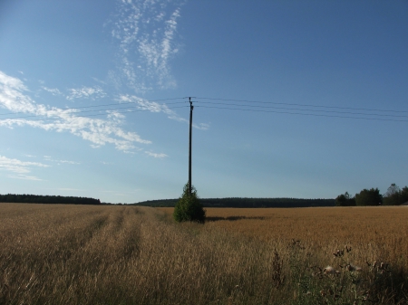 Lonely - eenzaam, lonely, nature, veld, field, paal