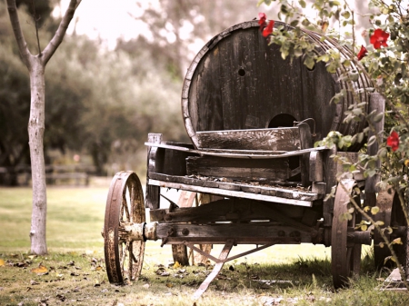 Olde Water Wagon - wooden, flowers, past, wagon