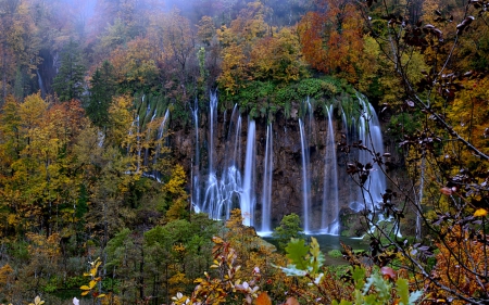 Forest Waterfalls in Autumn - Forest, Autumn, Foggy, Waterfall