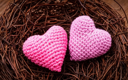 Love - nest, heart, valentine, couple, love, day, pink