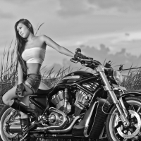 Harley Model