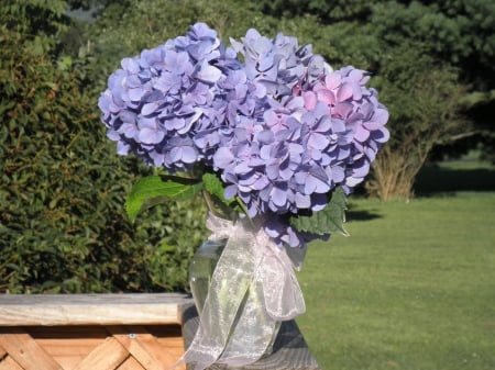 vase of hydrangea - hydrangea, nature, purple, flowers