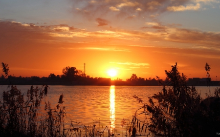 *** Sunset *** - lake, trees, nature, sunset