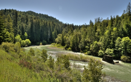 *** Forest *** - nature, green, mountains, forest