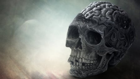 Skull - skeleton, black, brain, Skull