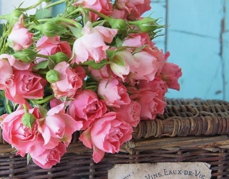 Bouquet of pink roses - flowers, bouquet, still life, pink roses