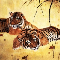 Lovely Tigers