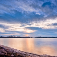 old log on a lake shore