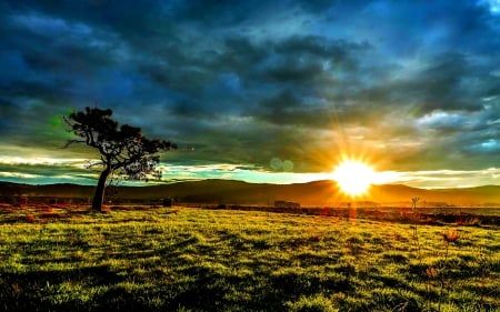 SUNSET SCENERY - ultra hd shoot, nature, landscape, tree, sunset, natural